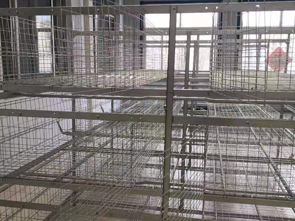 肉鸡框架系列